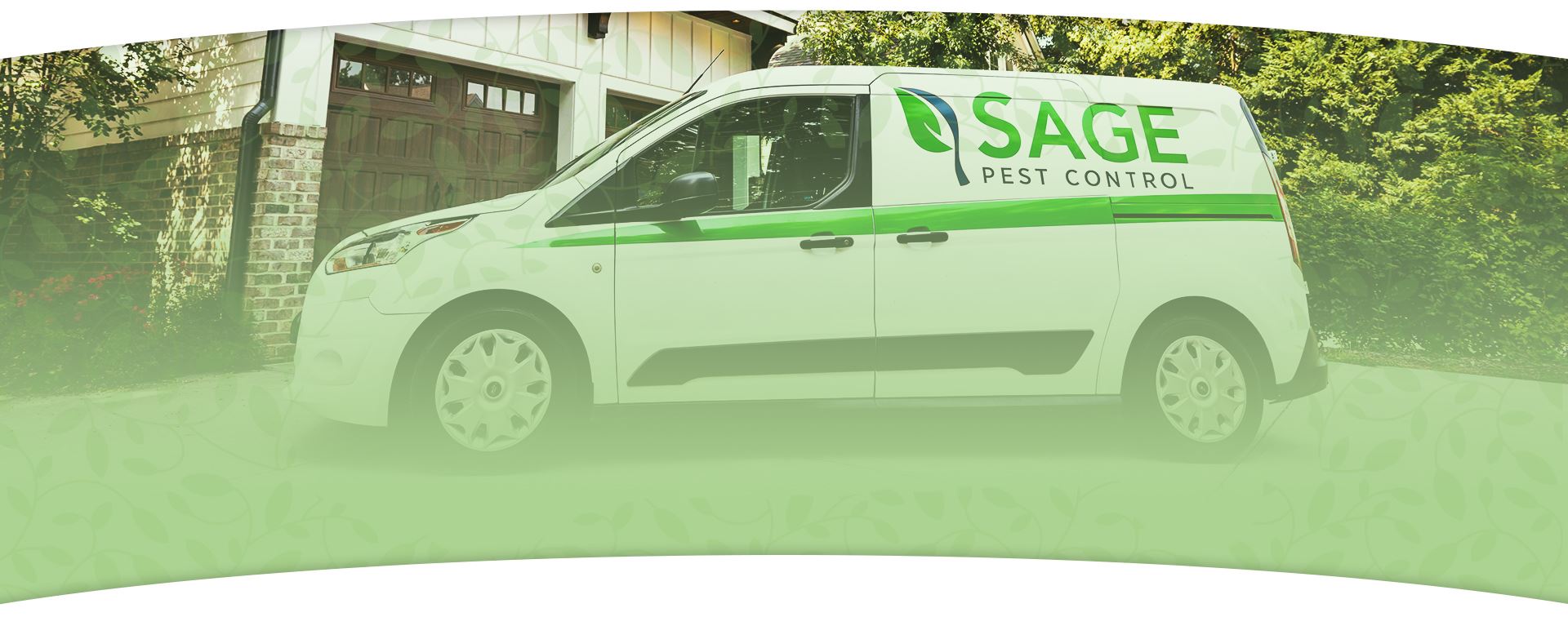 Raleigh Pest Control | Sage Pest Control