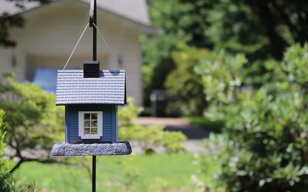 birdhouse in backyard