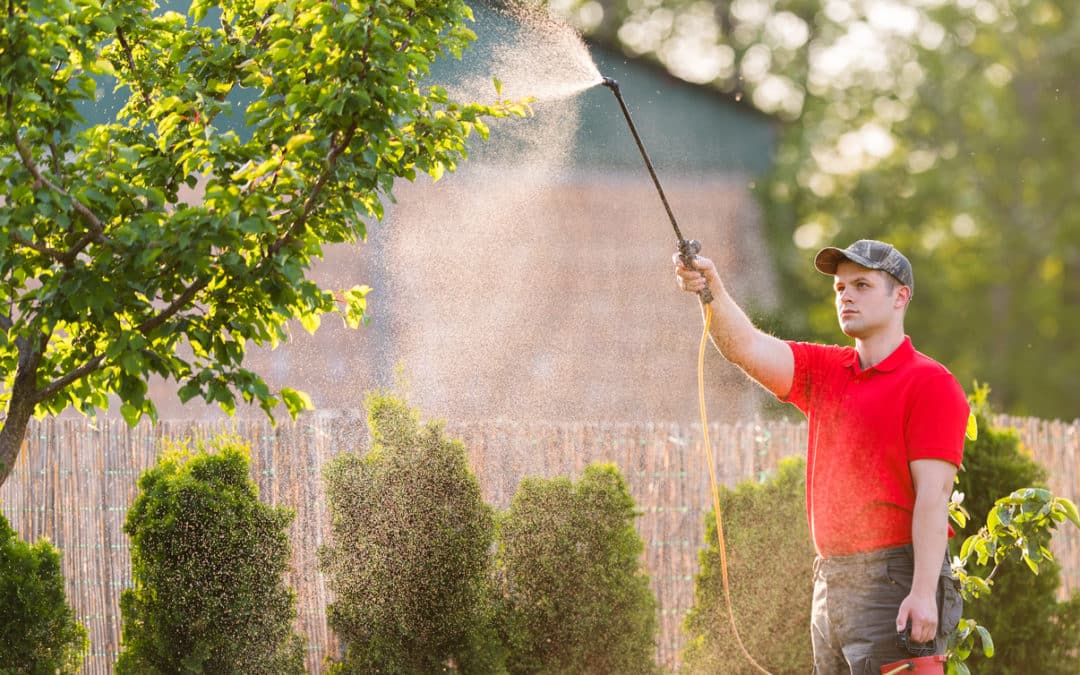 sage pest control at a job