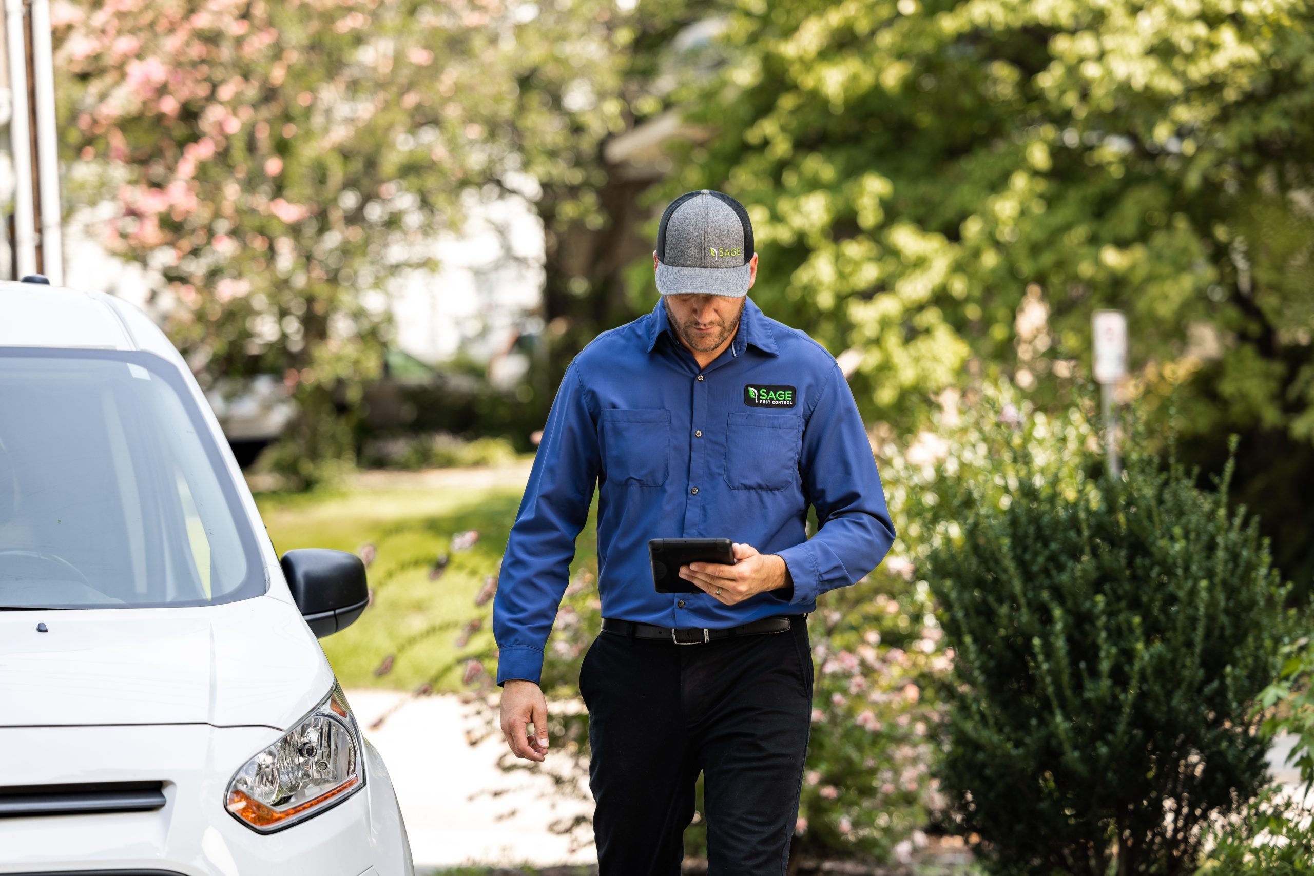 team member looking at tablet during work
