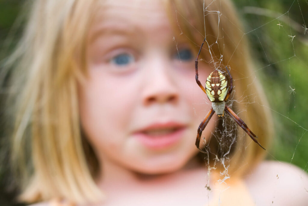 Girl afraid of spider