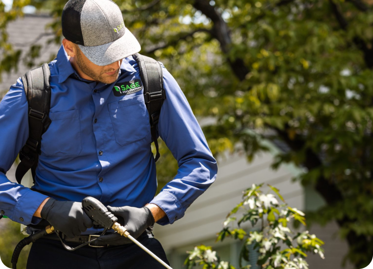 pest control professional