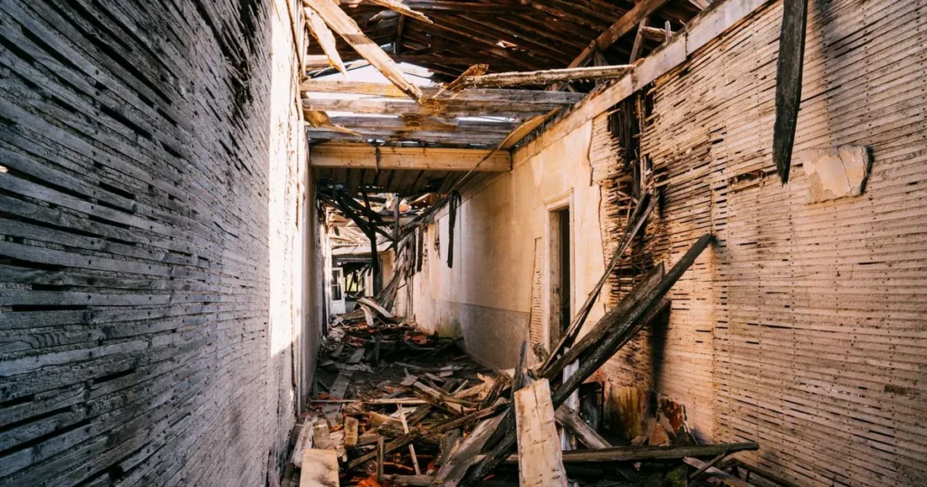 Termite Treatment Cost in Virginia Beach, VA | Sage Pest Control — featured image